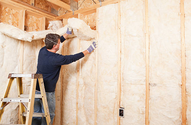 Best Attic Insulation Installation  in St Marys, OH